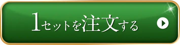 送料無料 1セット注文する