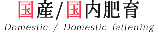 国産/国内肥育