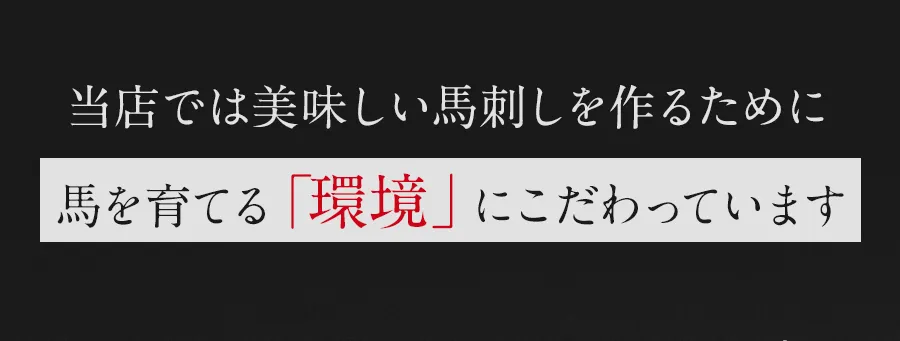 美味しい馬刺しを作るために馬を育てる環境にこだわっています