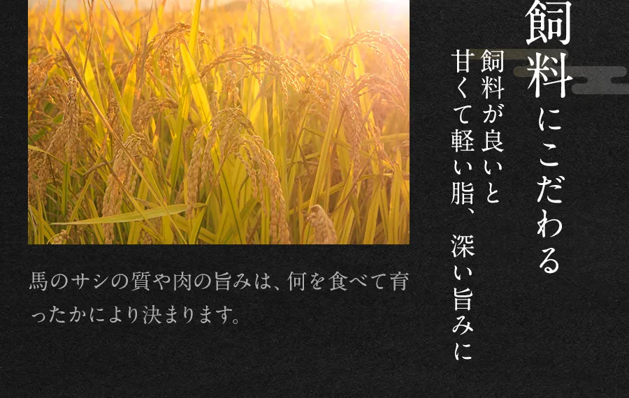 飼料にこだわる。馬のサシの質や肉の旨みは何を食べて育ったかにより決まります