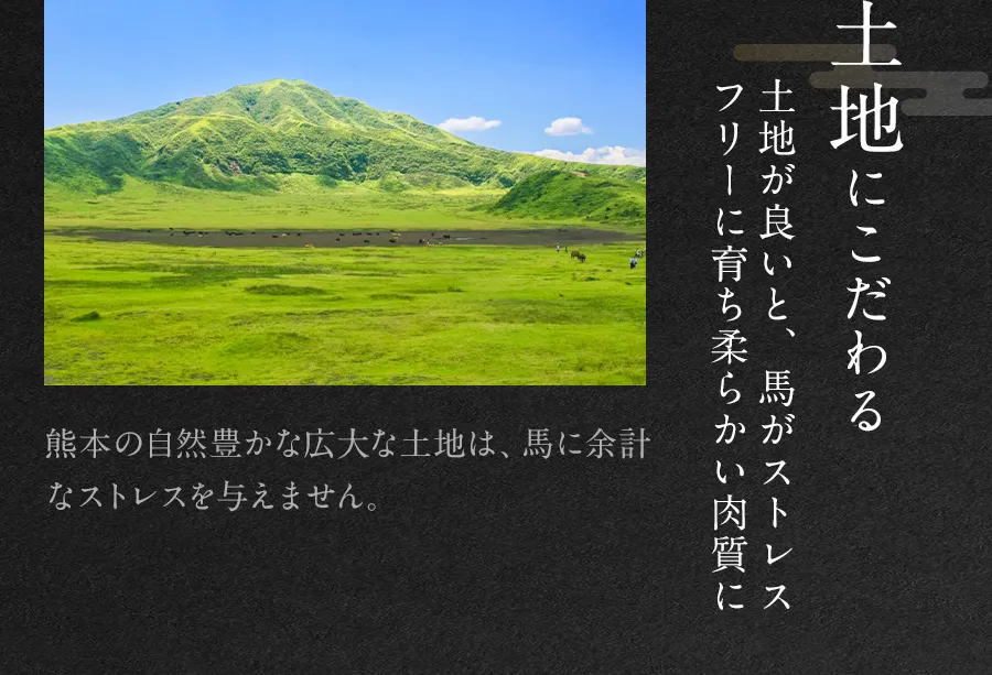 美味しい馬刺しを作るために馬を育てる環境にこだわっています