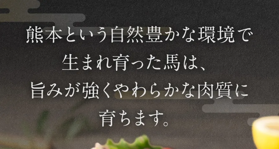 熊本という自然豊かな環境で生まれ育った馬は旨みが強くやわらかな肉質に育ちます