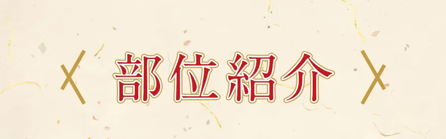 部位紹介